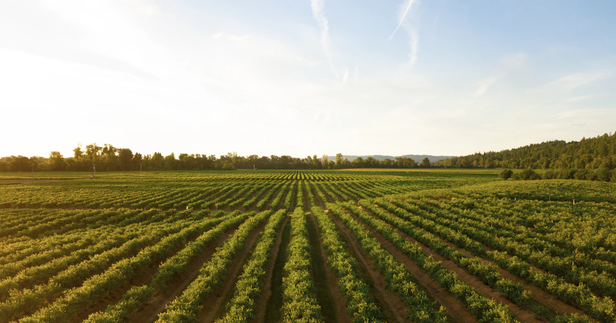 Biodegradable Claims Under EU Regulation: What's Allowed in 2026